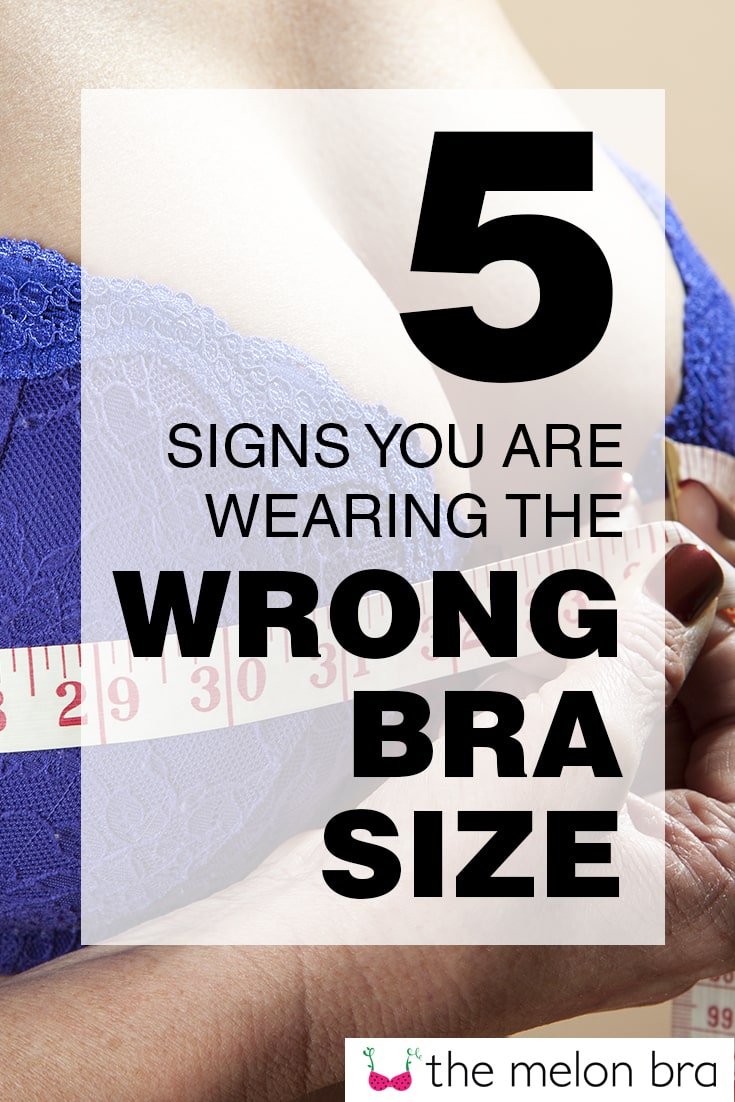 5 Signs You Are Wearing The Wrong Bra Size The Melon Bra