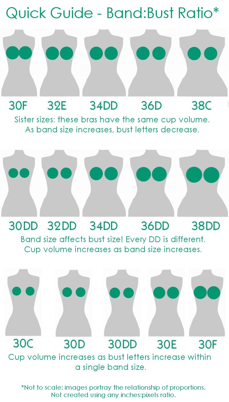 The Same Bra Cup May Look Different Based On Band Size – PerfectDD